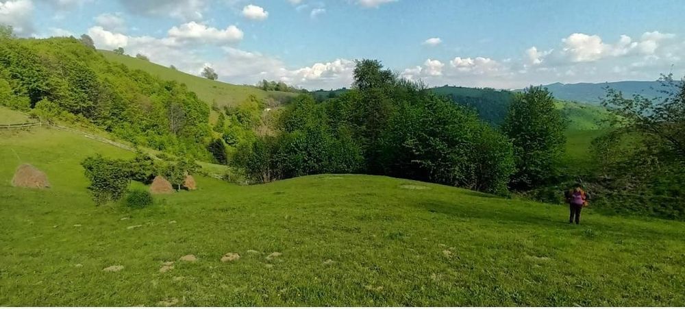 Căbănuta,teren și padure