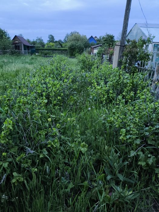 Продам дачный участок в СТ Ромашка