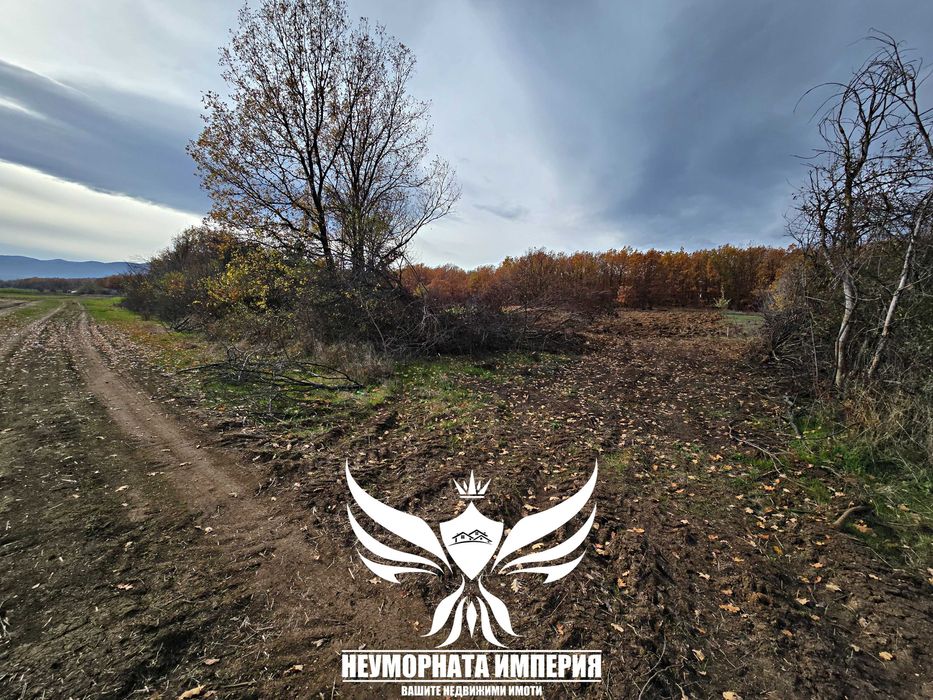 Продавам два броя земи в село Стоево 1120кв.м.  общ.Асеновград