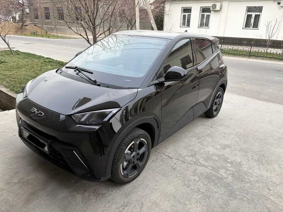 byd seagull, naxt va halol nasiya