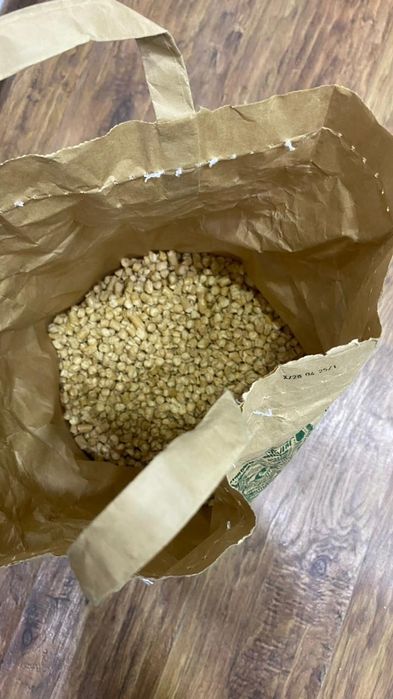 Продам вещи кота миска.