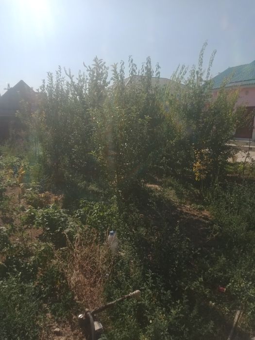 дом  находится по улице байзак батыра 277