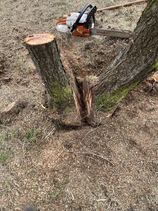 Curatare si defrisari terenuri, amenanjare livezi, garduri etc