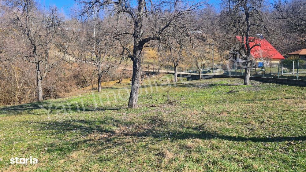 Teren de vânzare în comuna Valea Iasului, sat Cerbureni, județ Argeș.