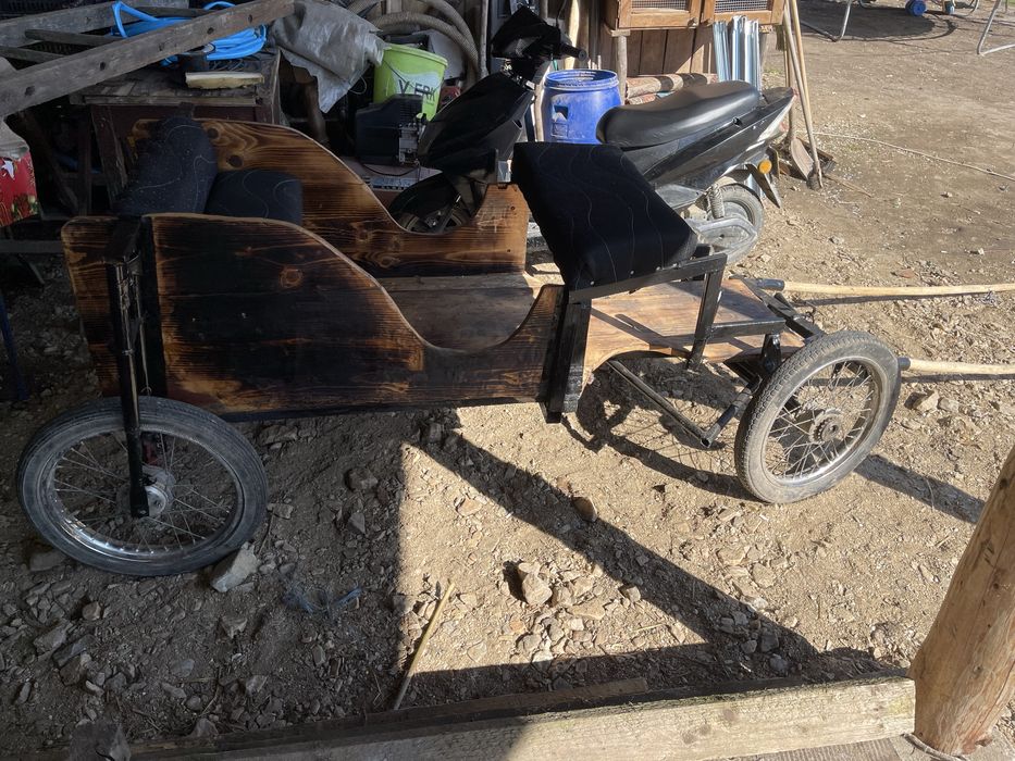 Vand sareta pentru ponei