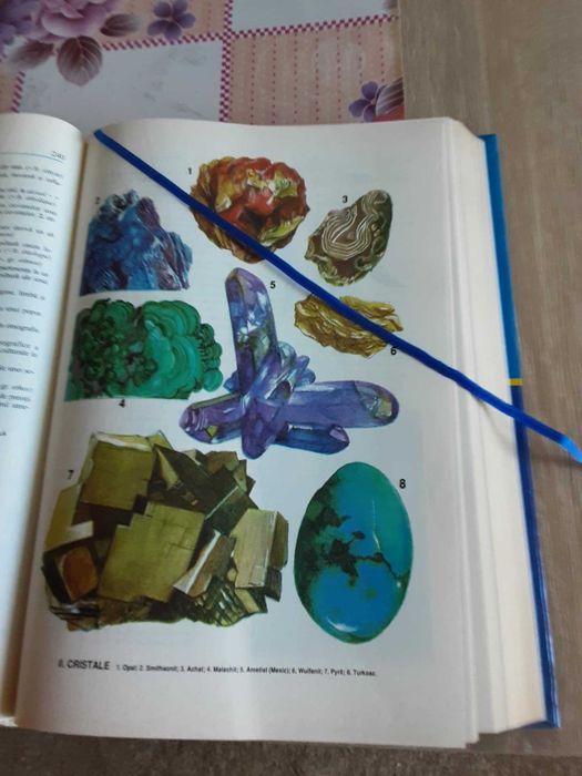 DEIR Dictionar explicativ ilustrat al Limbii Române studiu elevi studenti