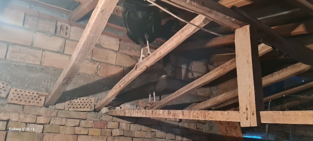 Свободни двойка работна