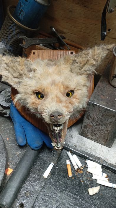 Чучило лис сувннир