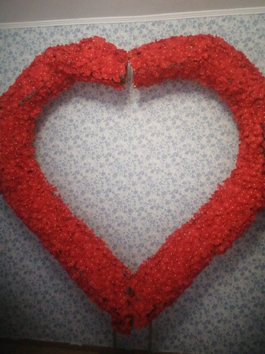 Анашым құттықтау,мерими, прокат 10-20 мың