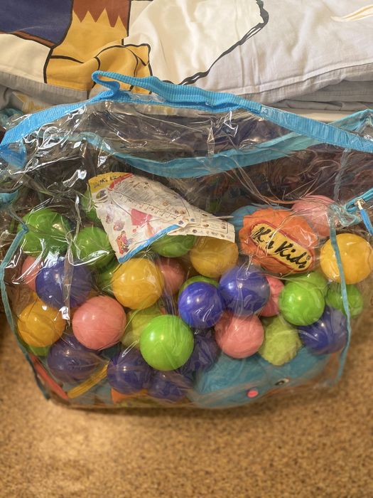 Сухой бассейн динозавр