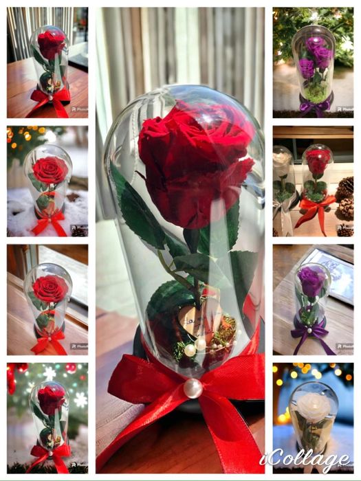 Cadou ideal criogenat criogenat