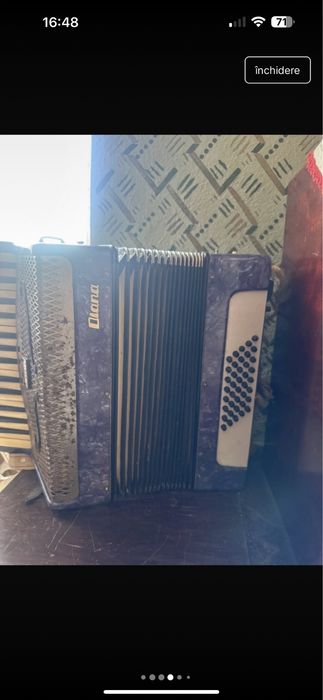 acordeon Diana de colectie