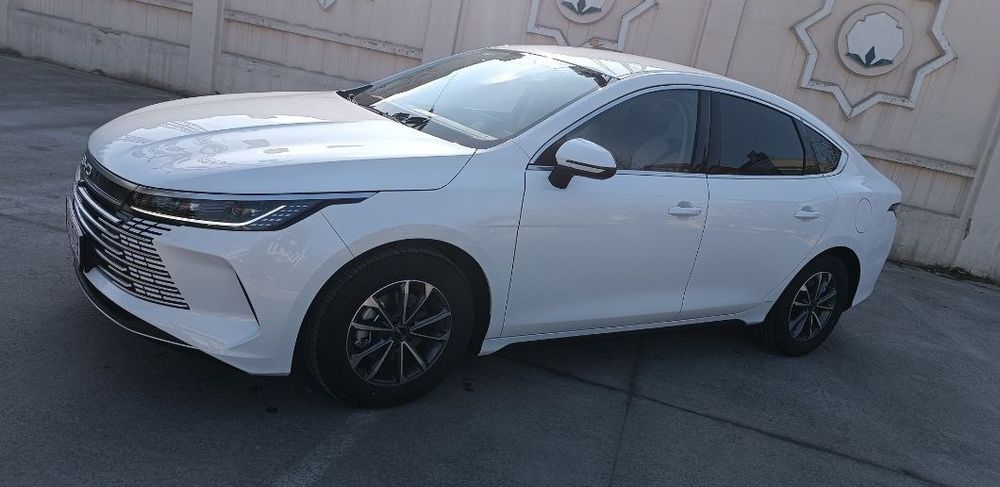 BYD CHAZOR  srochni sotiladi EDIAL HOLATDA