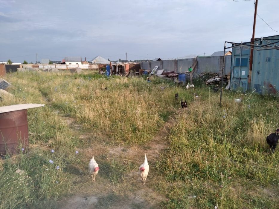 Участок КХ в Кольащи