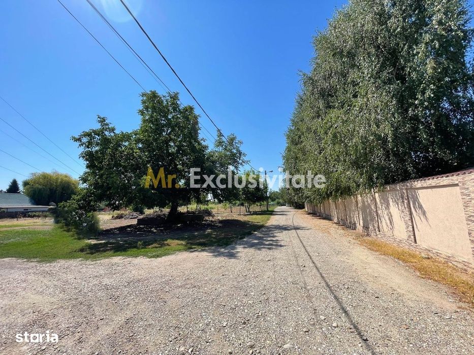 Teren intravilan | 2 deschideri | Ștefăneștii Noi – Str. Primăverii