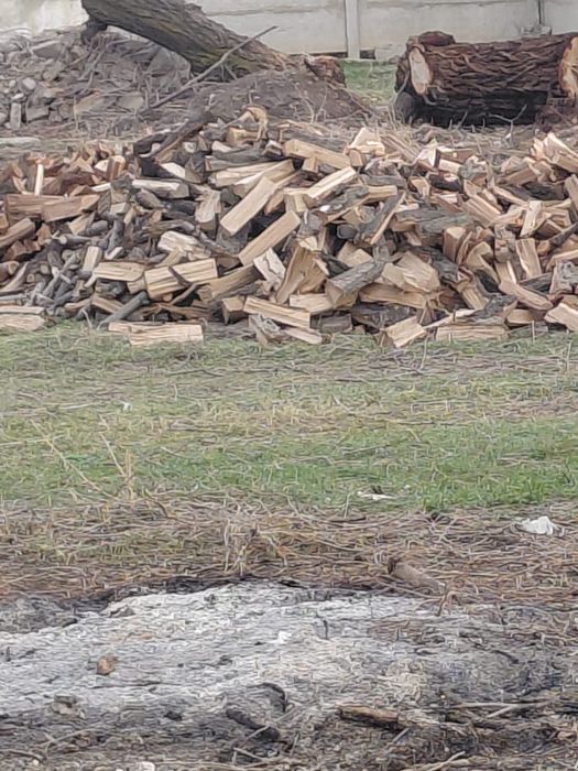 продам дрова карагач