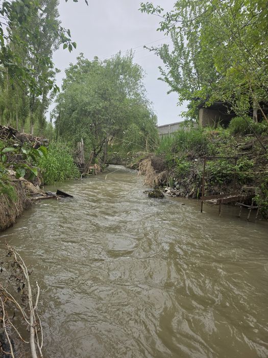 Кибрай тумани Бурота махалласида 12 сотихли ер участкаси сотилади.