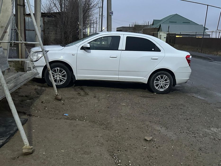 Кобальты в аренду Шымкент