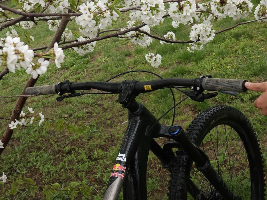 Giant Reign 2/2023 M