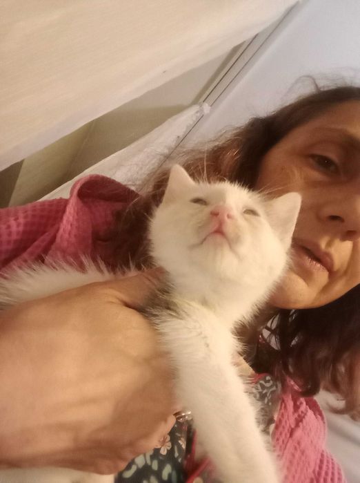 Donez animal de companie