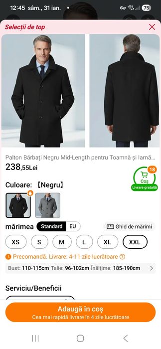 Palton toamnă,iarnă