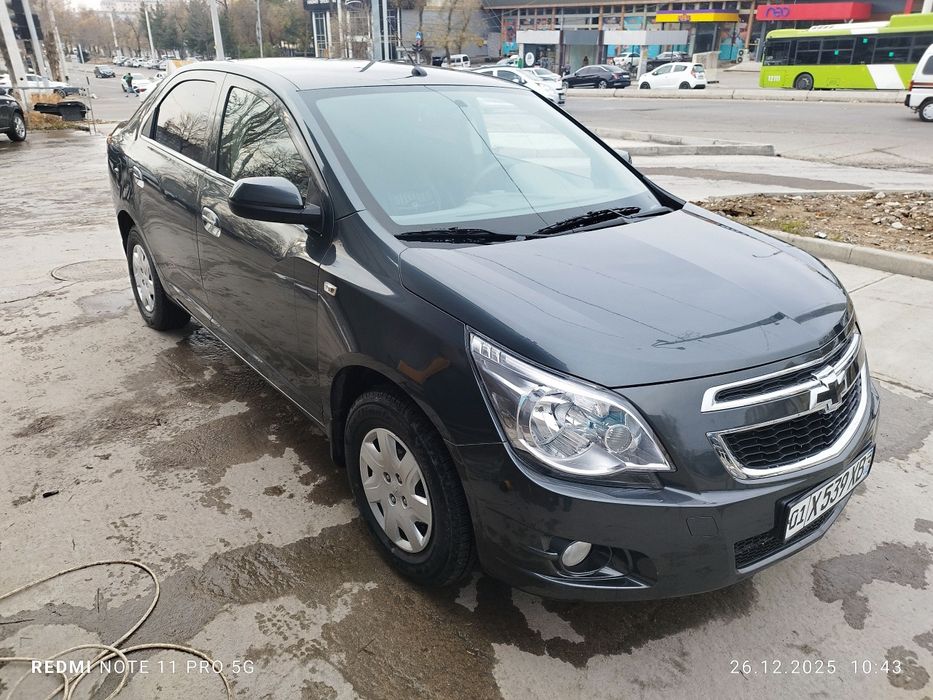 Коболт 2022 краска тозза