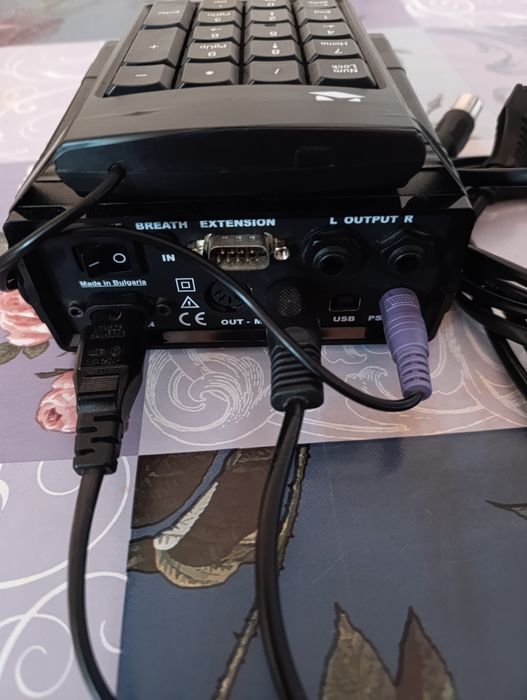 KORG pa2x, 256 RAM памет