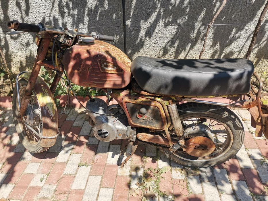 Mobra 50cm cu Acte