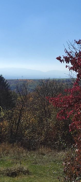 Продава се Парцел в с. Кътина, Област София-град - 1625 кв.м за 80 €/кв.м - Снимка #1