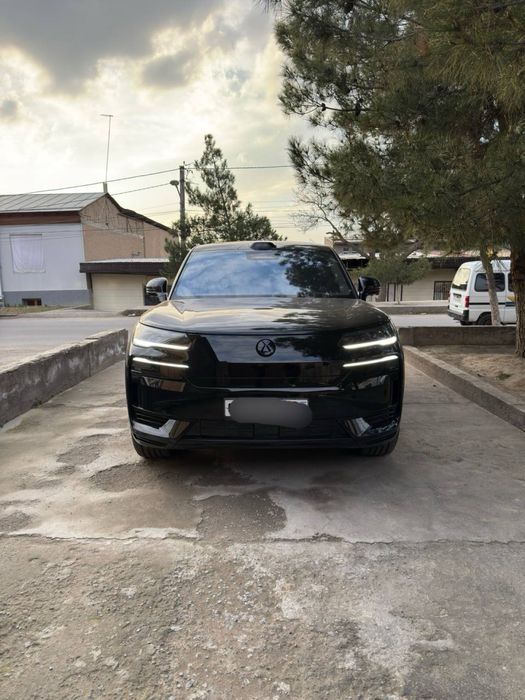 Denza N9 Full dopopsiys