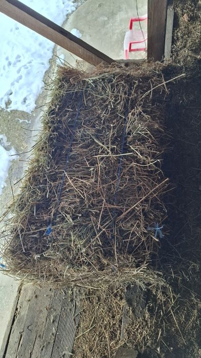 Baloți Lucerna din  2025