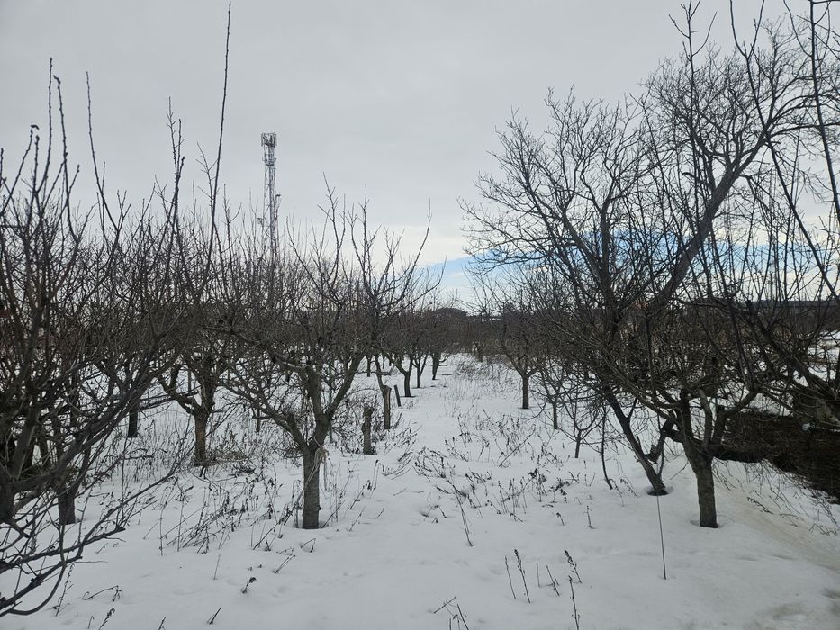 Casa centrala de vanzare!