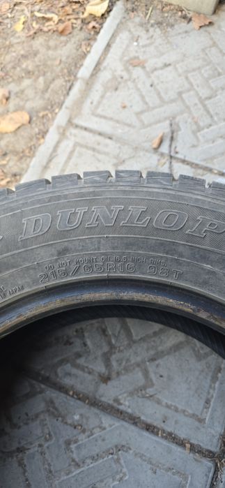 Шины Dunlop зимние