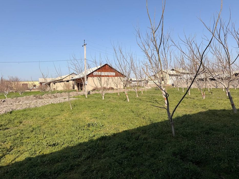 Yer sotladi srocho sotugi  2700$ dan   bervoramiza  dakument fulll