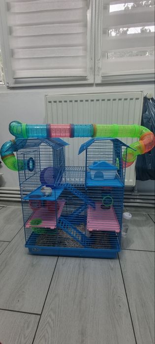 Hamsteri 30 lei buc