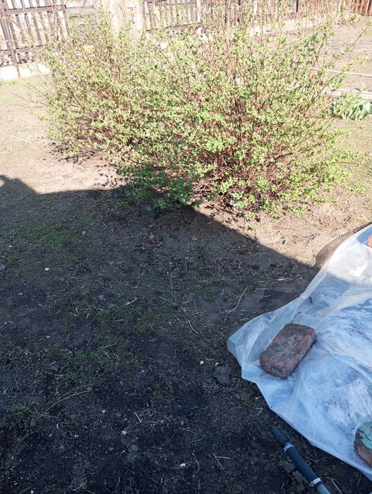 Продам кирпичный дом