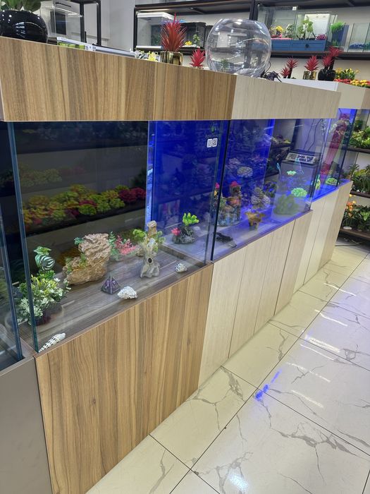 Аквариум Магазин