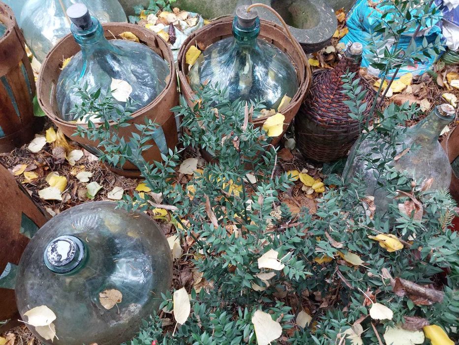 Damigene sticla 25/50 litri