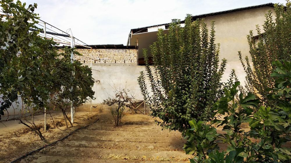 Ховлини ярми сотилади,Кизгалдок,Кировда,3 сотихга якин