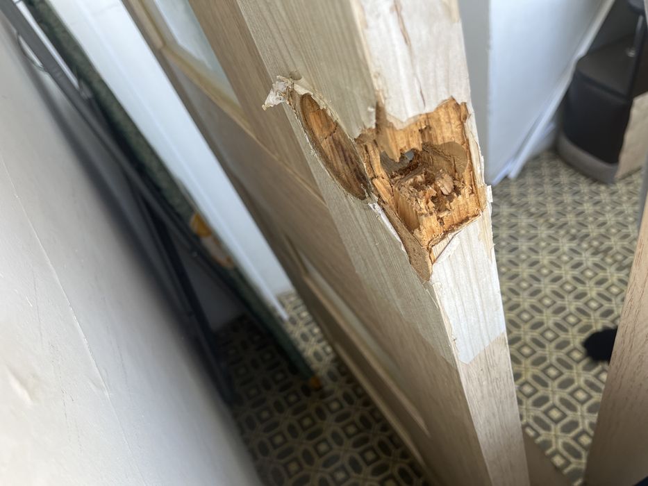 Отдам бесплатно дверное полотно