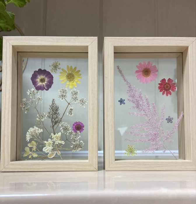 Гербарий в деревянной рамке,под стеклом