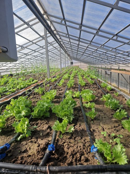 Продам дом с зимней теплицой