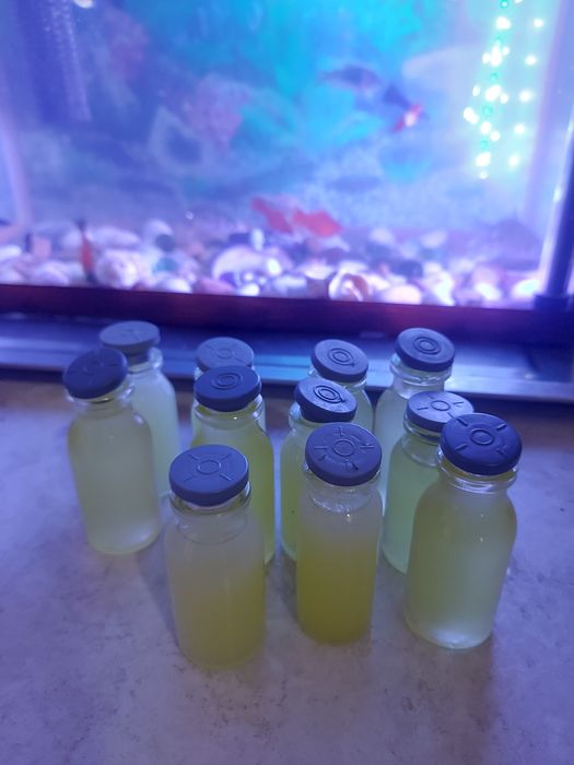 Каз майы таза уйдікі