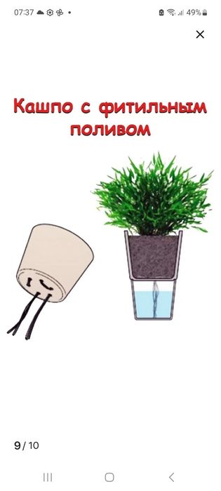 Кашпо с фитильным поливом.