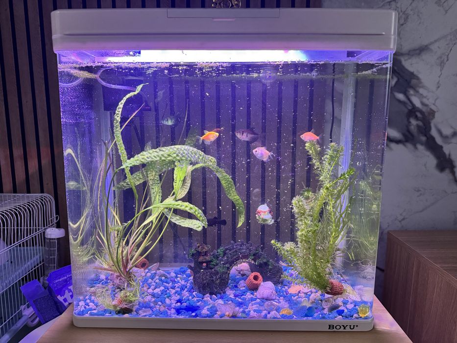 Продам аквариум