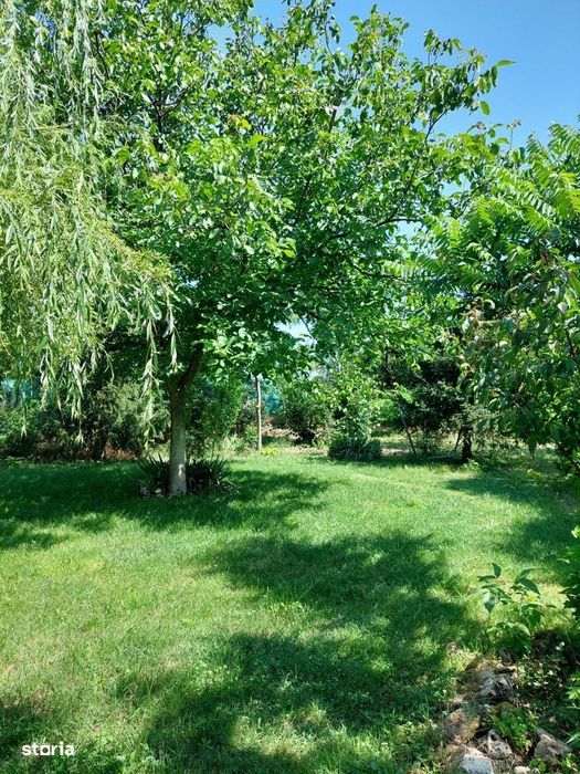 Casa 3 camere Parter Giurgiu Com Bucsani