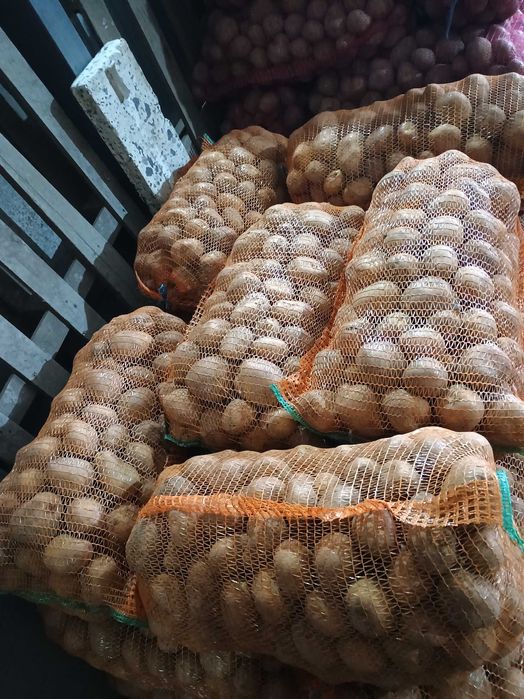 De vânzare cartofi consum Carera sí Bellaroza