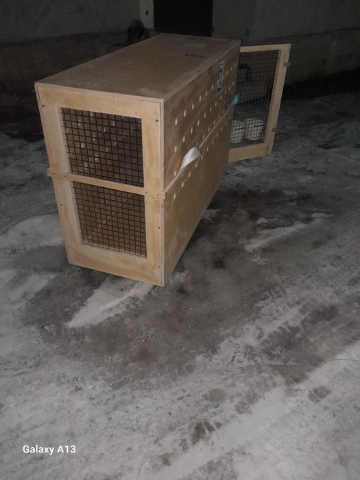 Авиабокс для больших животных