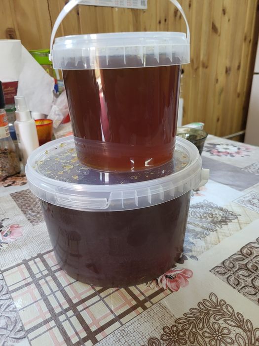 Мёд лесной  , натуральный нецеженный