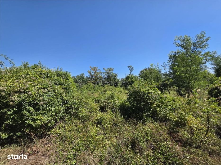 Teren intravilan, 509 mp, deschidere 30 m, com. Vernesti